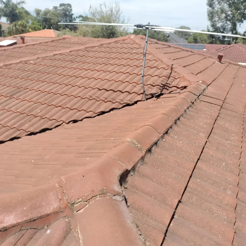 Roof repoint of a six-unit strata complex